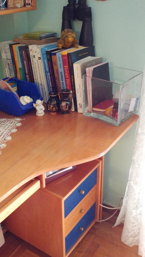 Irene Koukaki Daire Atina Dış mekan fotoğraf